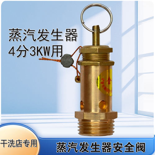 3KW蒸汽发生器锅炉安全阀
