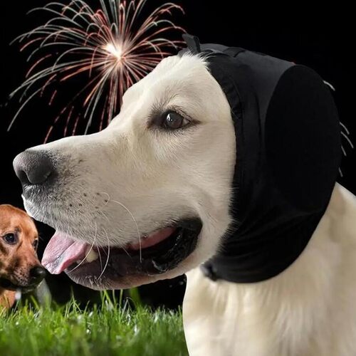 Dog Ear Muffs Noise Protection 狗耳罩用于雷鸣烟花的听力保护