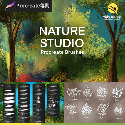 procreate植物笔刷草丛树叶风景自然景观平面效果图绘画插画ipad