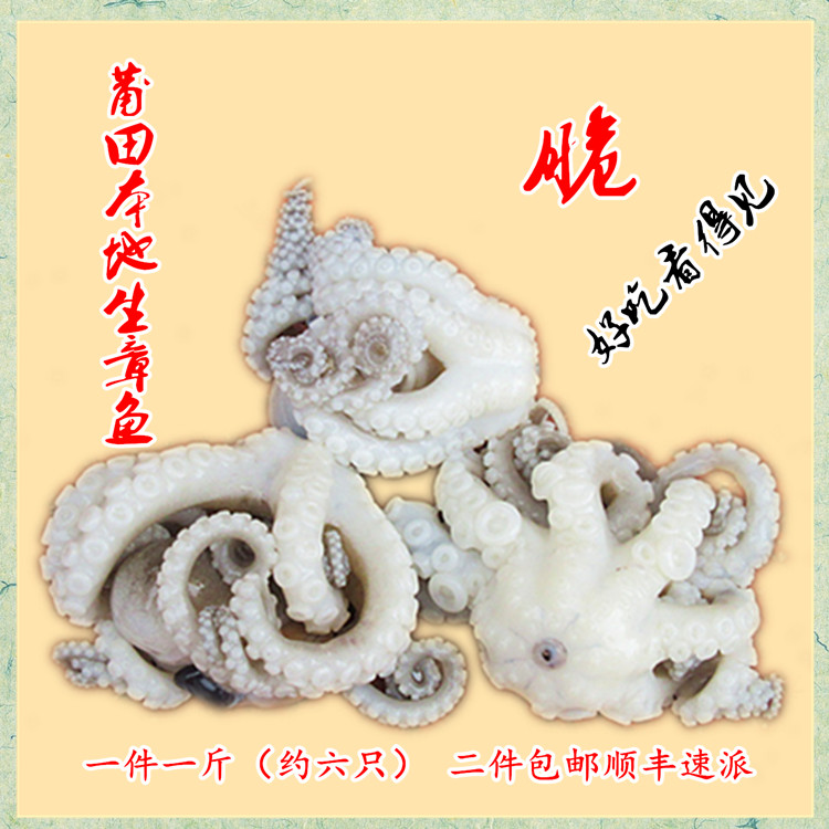 林姐正宗莆田本地生章鱼一件一斤