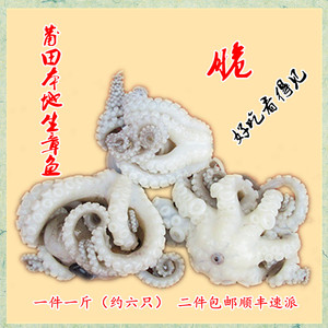 林姐正宗莆田本地生章鱼一件一斤