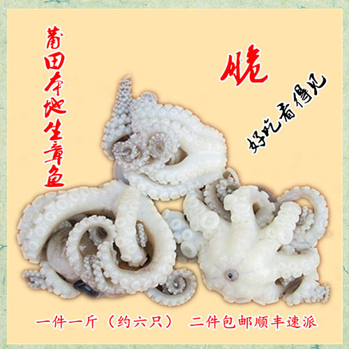 林姐正宗莆田本地生章鱼一件一斤
