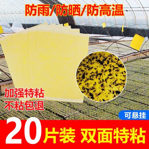 黄板双面粘虫大棚果园蓟马