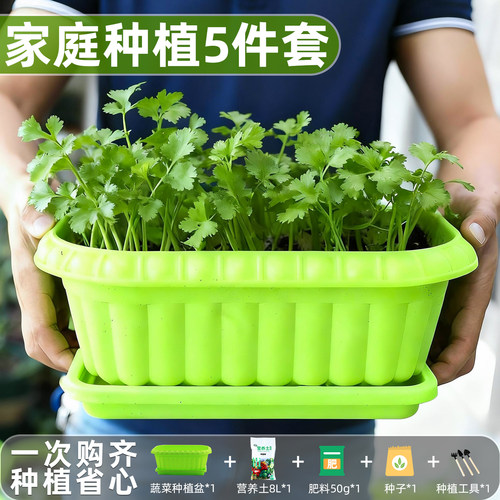 家庭阳台盆栽蔬菜种菜套装大全