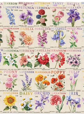 50张复古画报花花贴纸植物鲜花卡通手账本手机壳diy创意装饰贴画