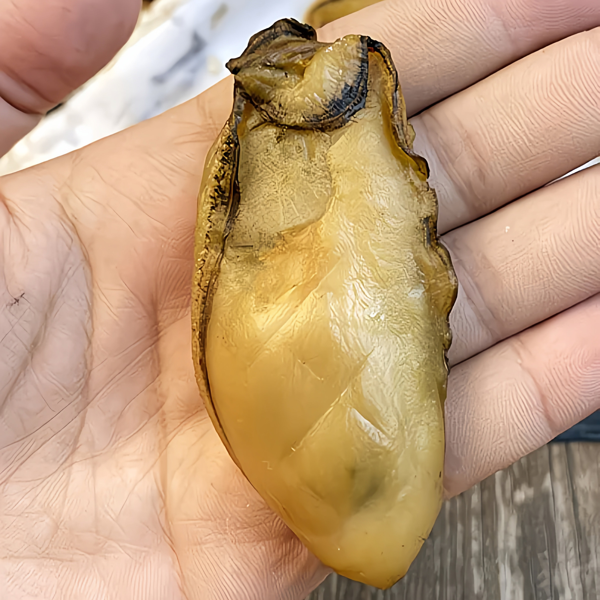 50头台山金蚝干7.5干生晒不抽油煲汤煮粥香煎油焖爆炒海鲜干货香
