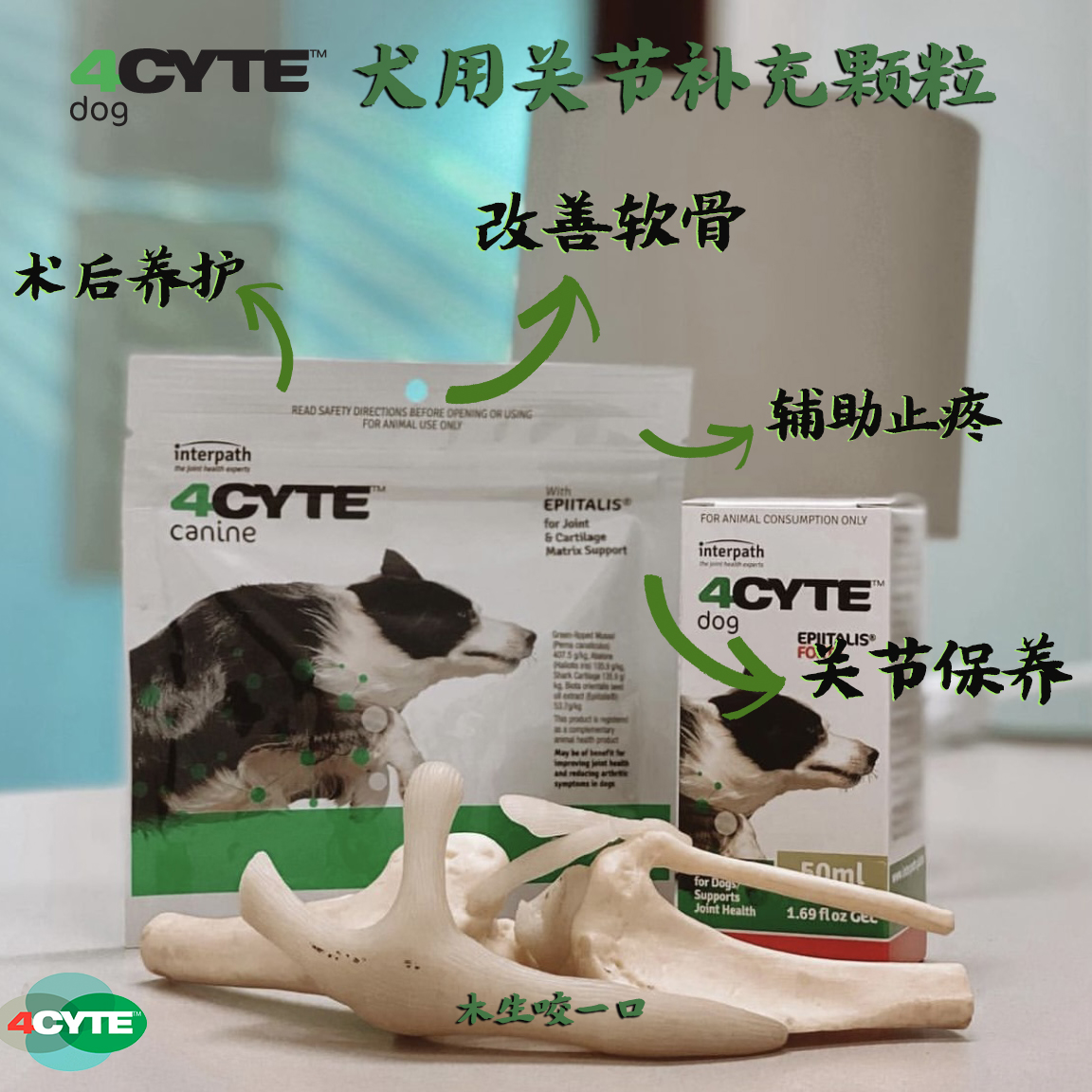 现货澳洲狗狗关节灵鲨鱼软骨素