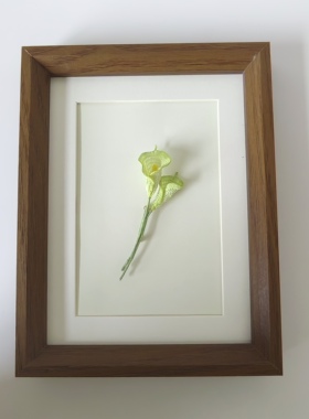 拈花记手作*微钩马蹄莲胸针