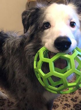 美国Petmate宠物狗玩具 JW几何球益智漏食 天然橡胶镂空球 大型犬