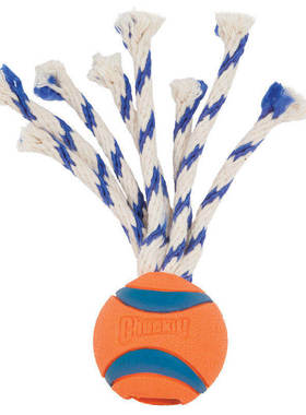 美国PETMATE狗玩具CHUCKIT绳结球形玩具宠物玩具球