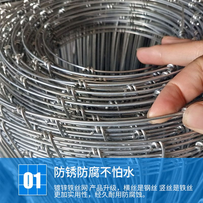 镀锌铁丝围网果园围网养殖钢丝网