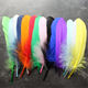 20cm彩色鹅毛大飘羽毛硬飘diy手工仿点翠材料 50支大鹅毛15 包邮
