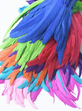 DIY配件25-45cm纯色公鸡尾毛公鸡尾羽毛cosplay舞台鸡毛彩色羽毛