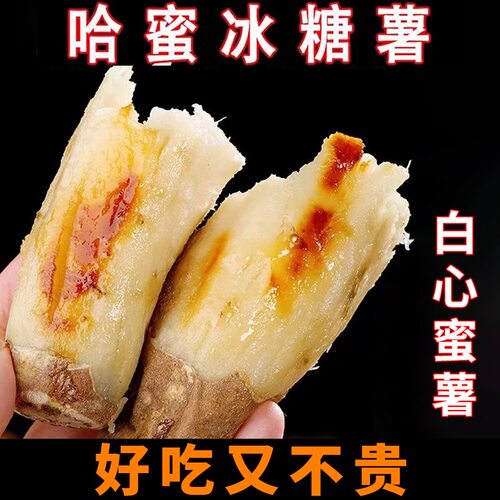 （白心蜜薯）哈密冰糖薯河南沙地新鲜现挖甜蜜薯番薯地瓜5斤9斤