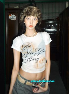 eihey诶嘿夏季复古印花网纱上衣短款辣妹显瘦修身微透短袖上衣女