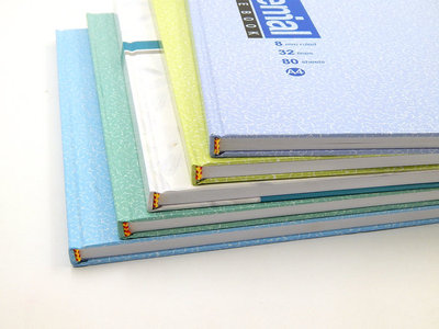 伟盛a4日记本商务办公用品包邮