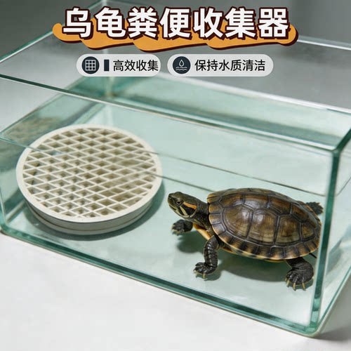 Pvc乌龟粪便收集器龟缸马桶蛋龟果核泥龟头盔蛋龟粪便分离器
