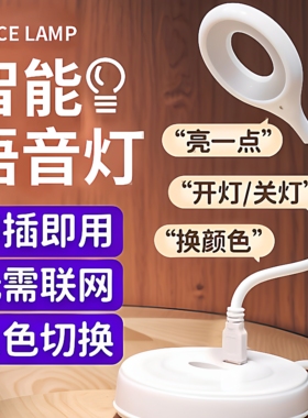 语音小夜灯说话开关声控灯USB照明灯床头灯LED灯灯学生灯