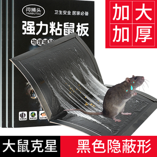强力粘鼠板老鼠贴家用加大加厚老鼠粘强力粘鼠板糖炒板栗多重引诱