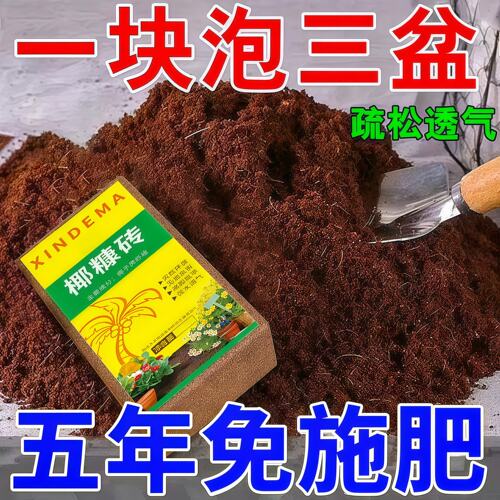 椰砖营养土椰土壤椰糠粗椰壳种花养花种菜专用种植大块耶砖