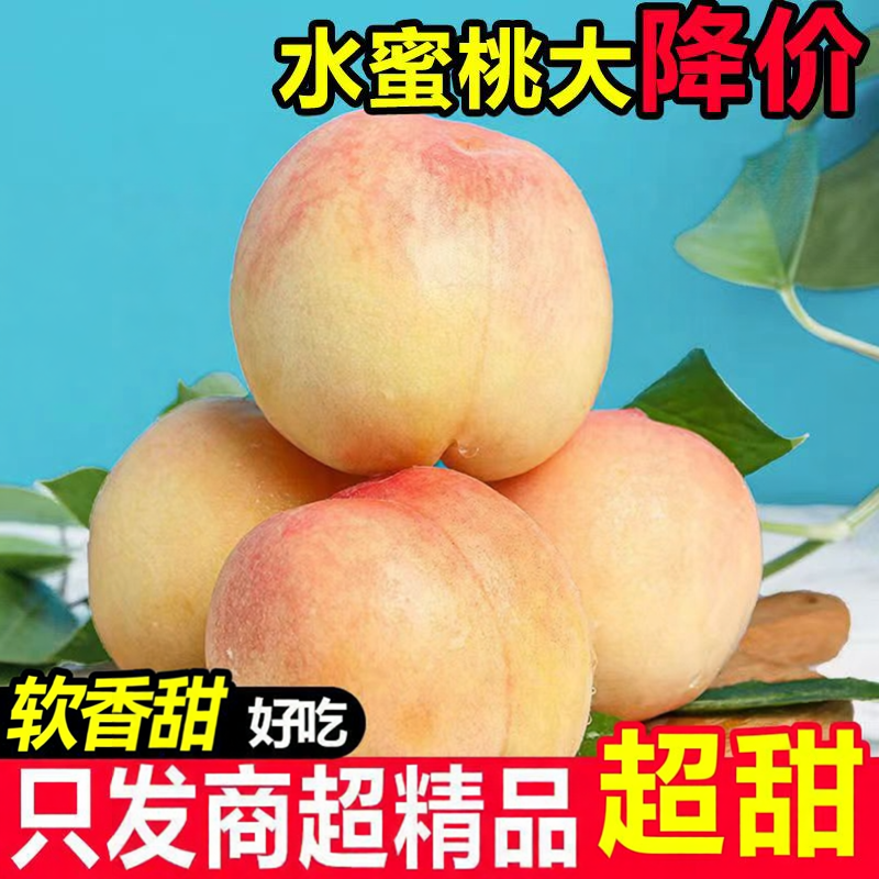 现摘新鲜水蜜桃正宗农家密桃水果应季江苏新沂甜桃子特大软的时令