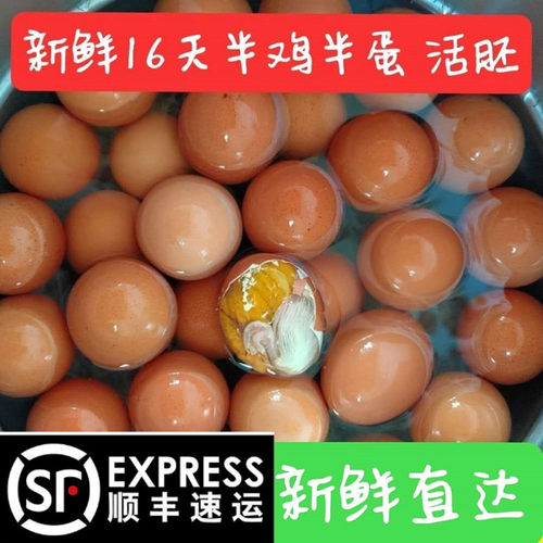 新鲜16天半鸡半蛋鸡10/40胚蛋喜蛋凤凰蛋生毛蛋毛鸡蛋非活珠子