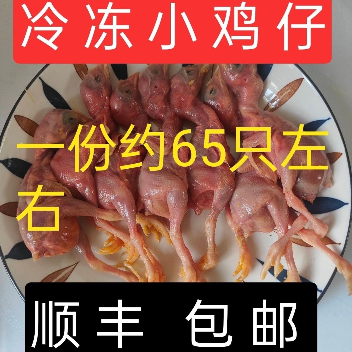 天然猫粮生骨肉新鲜冰冻小鸡仔崽日食鸡 食肉动物饲料湿粮5斤发货