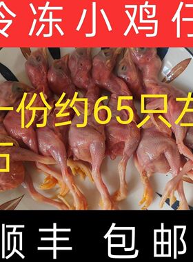 天然猫粮生骨肉新鲜冰冻小鸡仔崽日食鸡 食肉动物饲料湿粮5斤发货