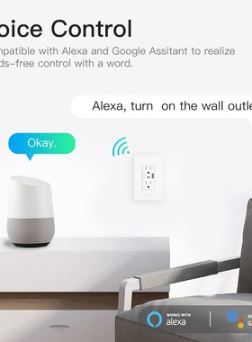 WiFi Smart Power Wall Socket with Type C And USB Dual Outle