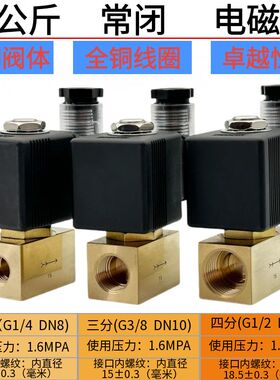 电磁排水阀 泄压阀 排气阀 二分三分四分 压力1.6MPA16barAC220V