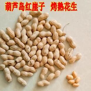 东北农家大铁锅炒熟带壳小日本花生原味炒熟带壳花生现炒现卖