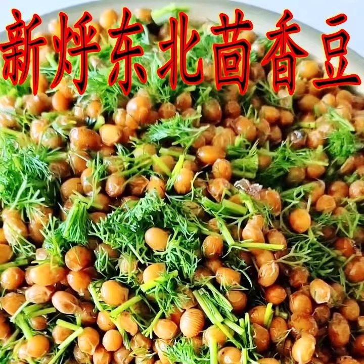 新货东北黄豆咸菜茴香豆 凉拌茴香豆咸菜凉拌菜现做现卖真空不坏