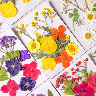 干花diy材料压花书签押花画满天星玫瑰真树叶植物标本滴胶