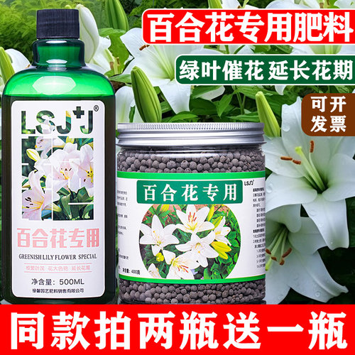 百合花绿叶催花专用营养液