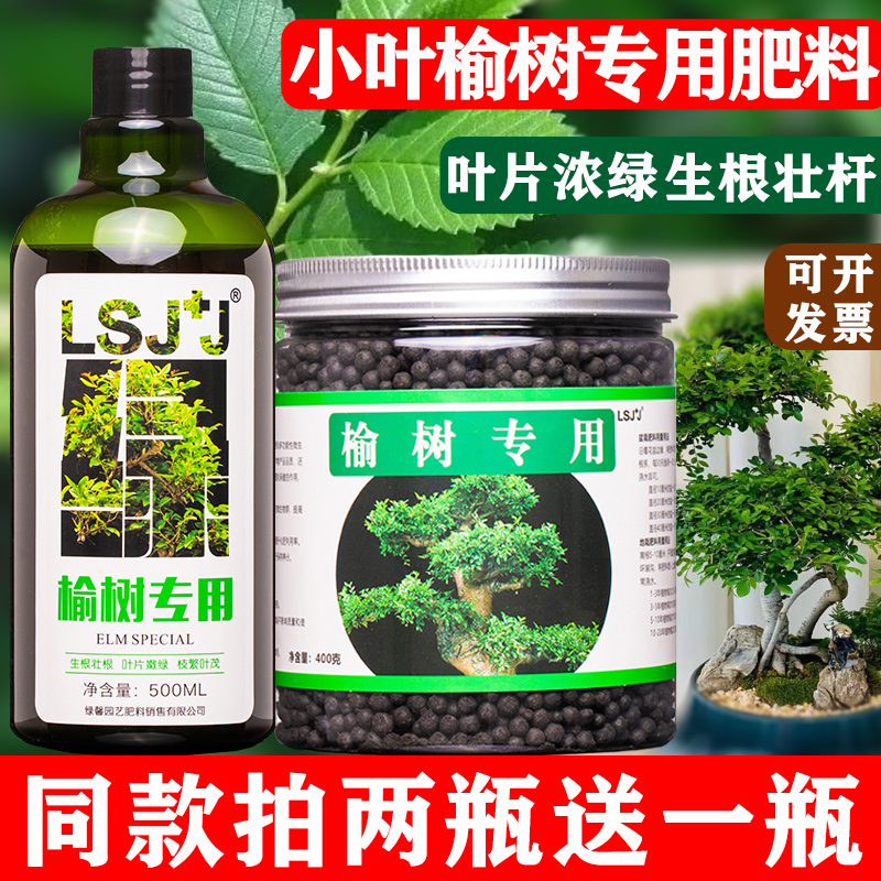 小叶榆树绿叶壮杆专用肥料营养液