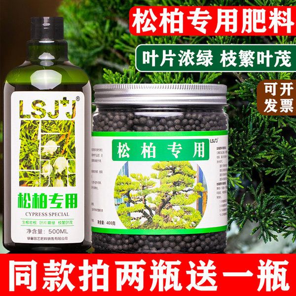 松柏专用肥松树黑松青松大阪松柏树山松香松肥料营养液有机缓释肥,鲜花速递/花卉仿真/绿植园艺,家庭园艺肥料,淘宝优惠券,粉丝福利购,淘宝优惠卷