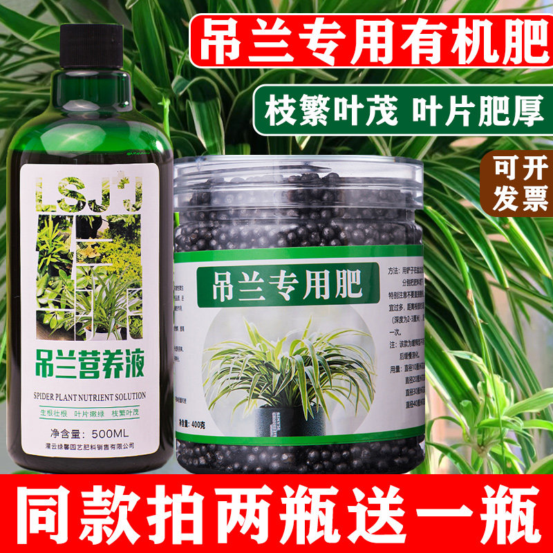吊兰肥料专用肥料金边吊兰专营养液钻石翡翠绿植吊篮盆栽绿植