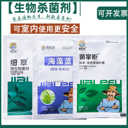 生物杀菌专用药绿萝黑斑病