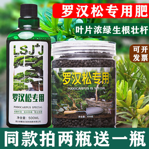 罗汉松专用营养液家用植物肥料