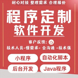 软件开发定制小程序JAVA系统项目前端网站制作爬虫自动化脚本代做