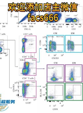 流式数据分析-flowjo细胞凋亡周期免疫分型活性氧增殖钙流多色