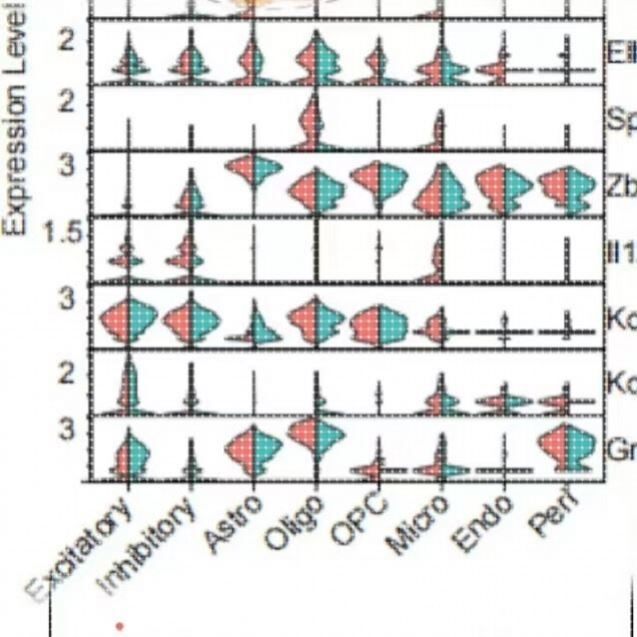 生物信息学分析服务(转录组数据分析/临床数据挖掘)