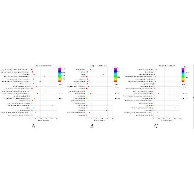 中复方网络理学联合分子对接套路视频教程/生信自学网/多中