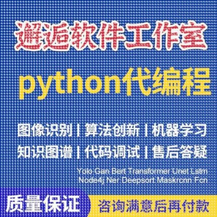 Python代编程强化深度机器学习图像识别知识图谱算法创新调试代码