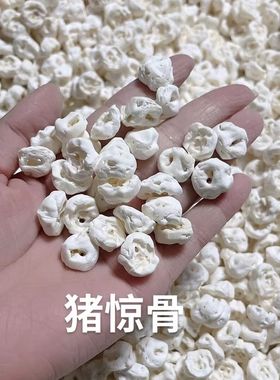 猪惊骨真品手链配饰配件