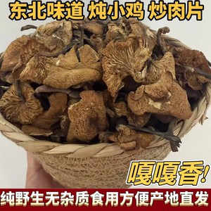 东北特产野生榛蘑250g-500g每袋