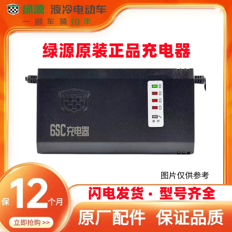 绿源电动车充电器铅酸电瓶车充电器48V60V72V20E30E40E-T2T4T 电动车/配件/交通工具 电动车充电器 原图主图