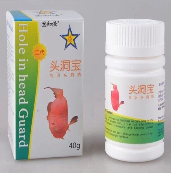 宝知渔头洞宝头洞克星鹦鹉鱼罗汉鱼药发财鱼药鱼头洞卫士鱼药