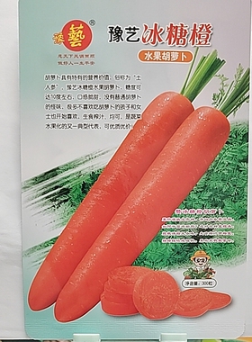 F1  豫艺冰糖橙水果胡萝卜种子300粒25元原厂彩包满28元包邮