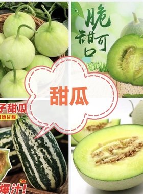 要催芽问豆包甜瓜籽合集早生蜜丘比特流星瓜羊角蜜甜宝绿宝冰糖子